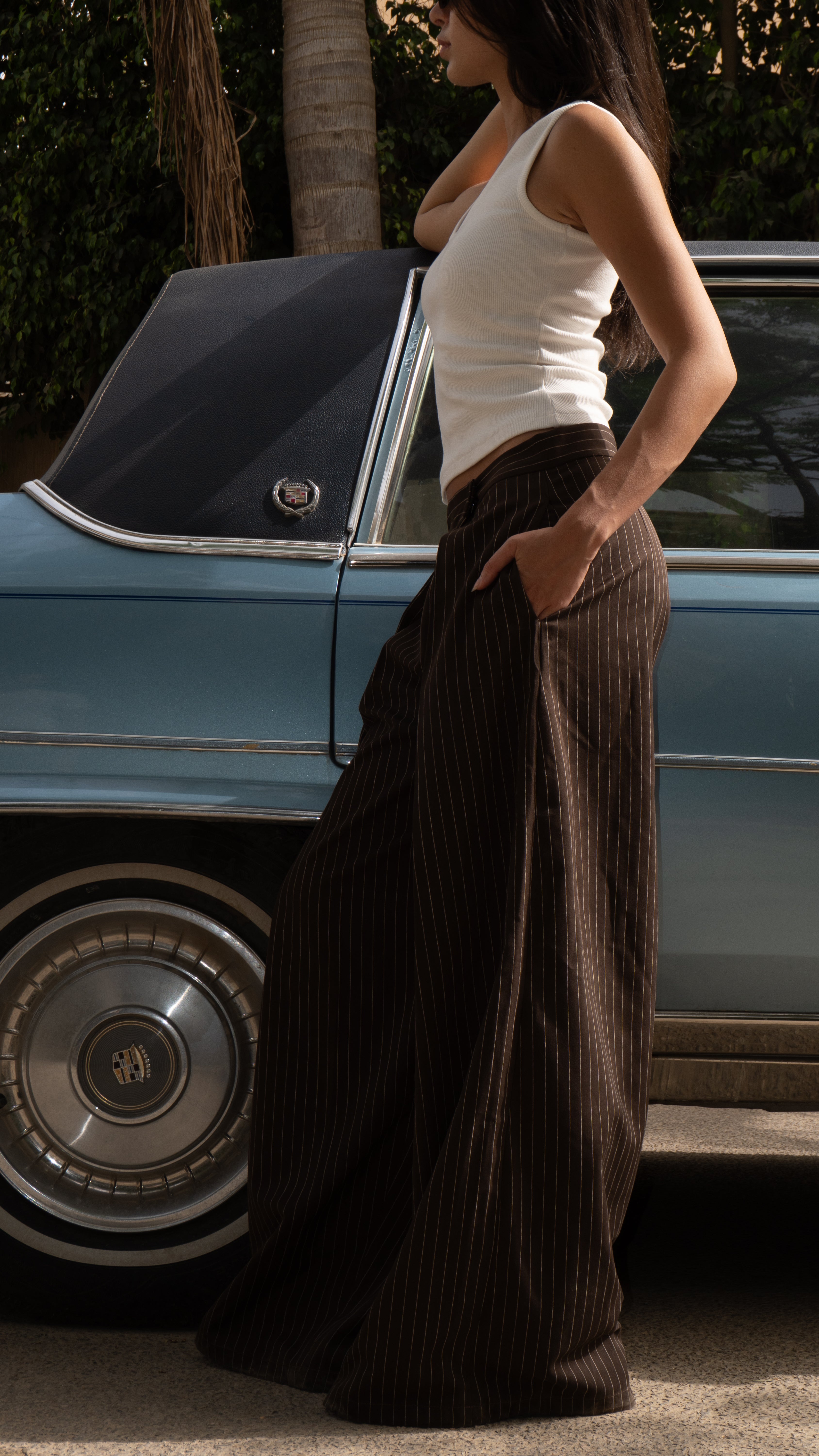 Butterfly Brown Striped Pants