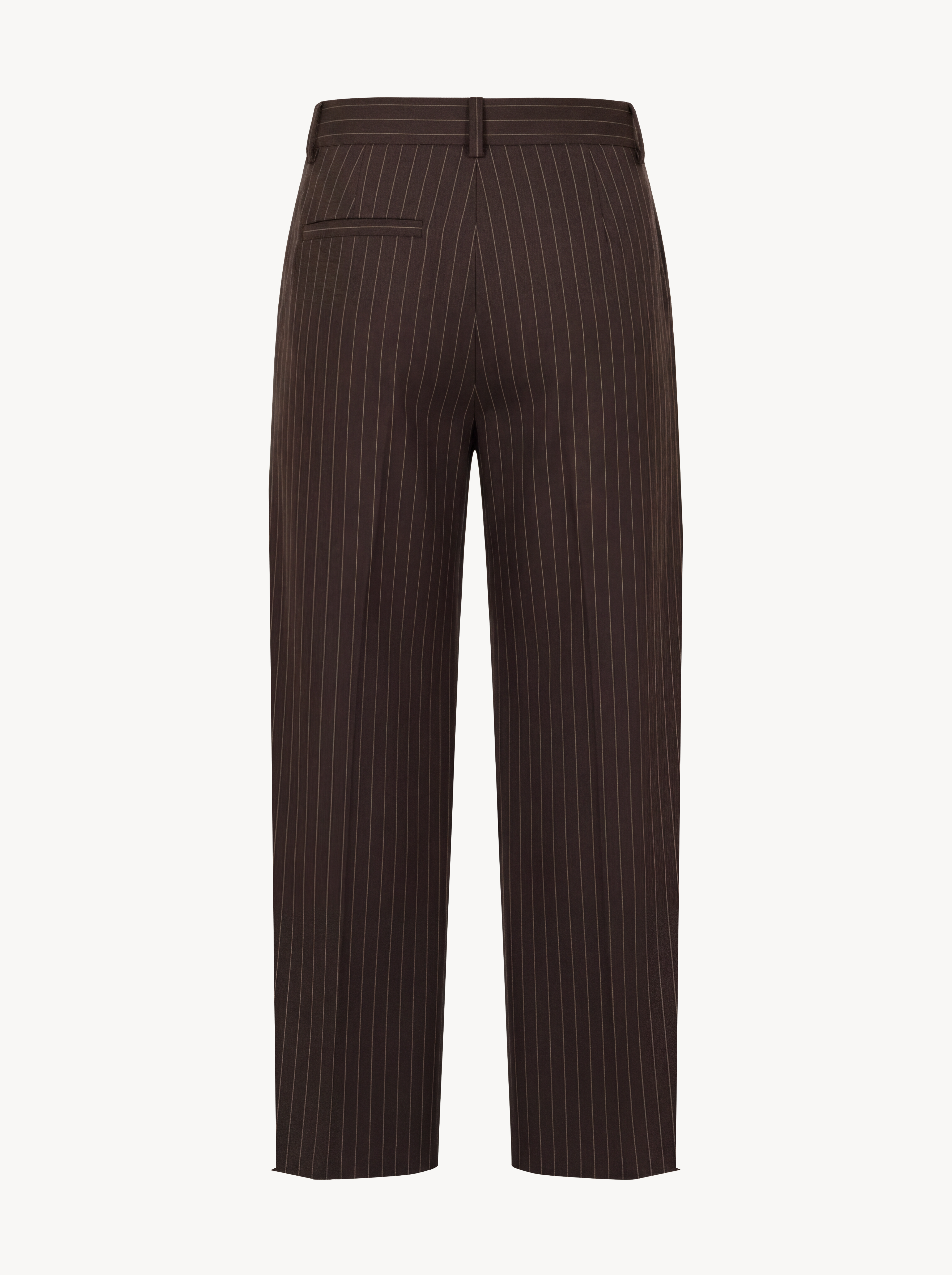 Men Stripe Brown Pants